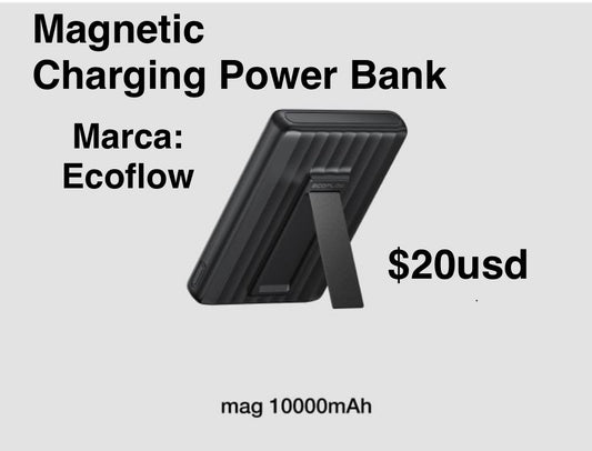 Power ban 10000ah